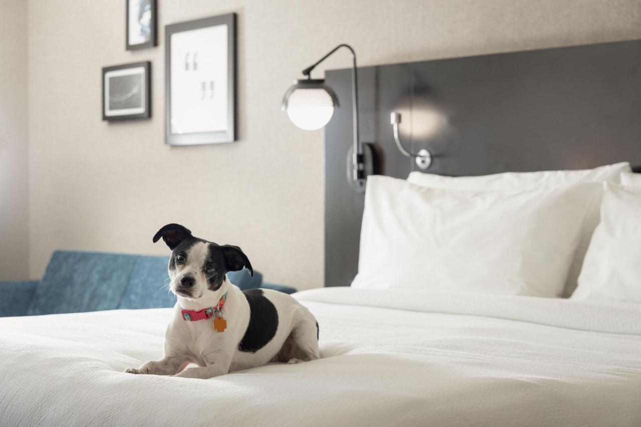 Four Points By Sheraton Milwaukee North Shore Brown Deer Eksteriør billede